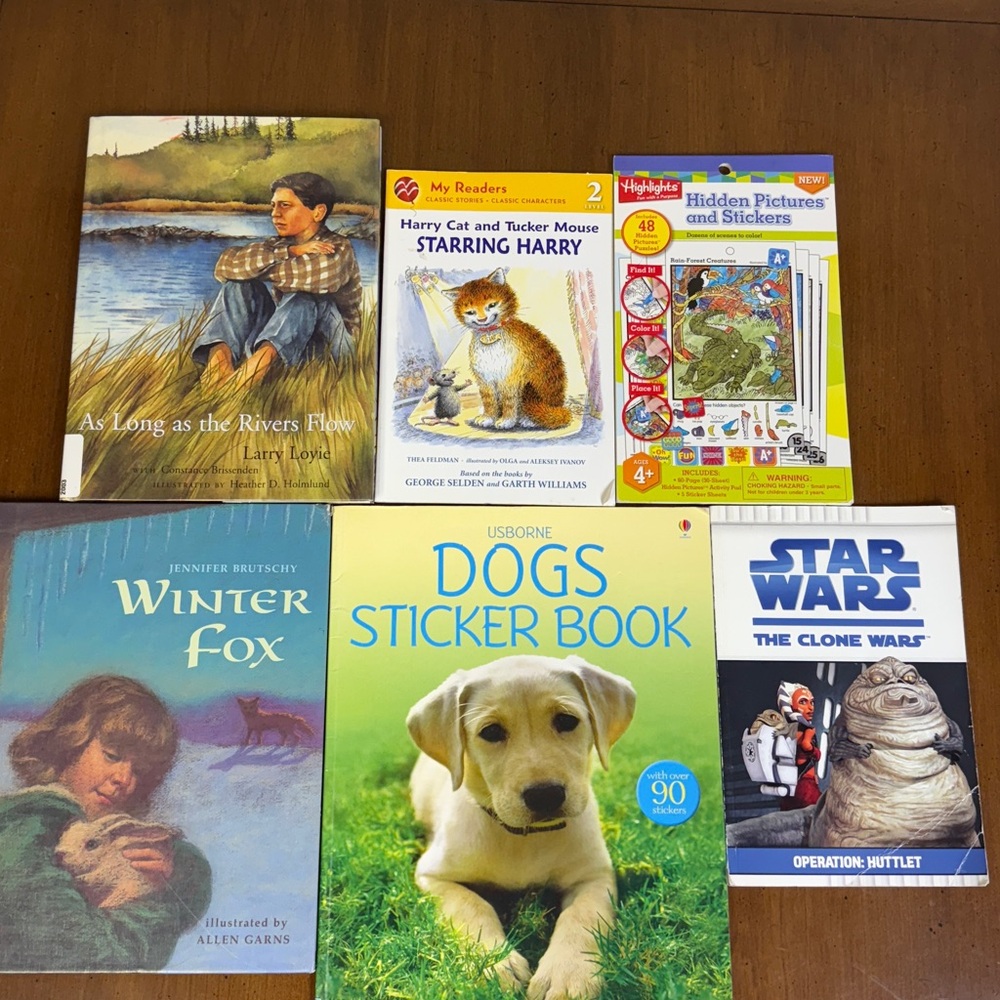 Early Reader, Activity, and Read aloud book bundle -  6 books
